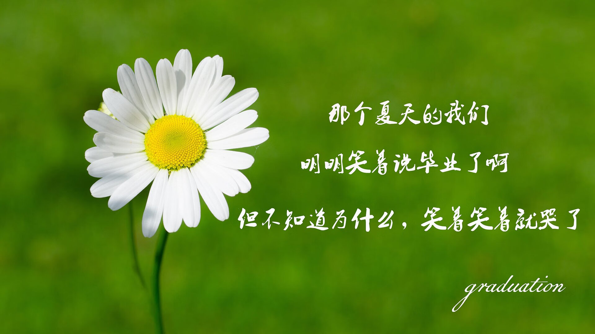 塞内加尔女足荣获“体育道德风尚奖”